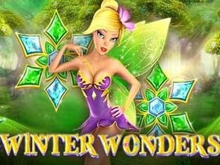 Winter Wonders icon